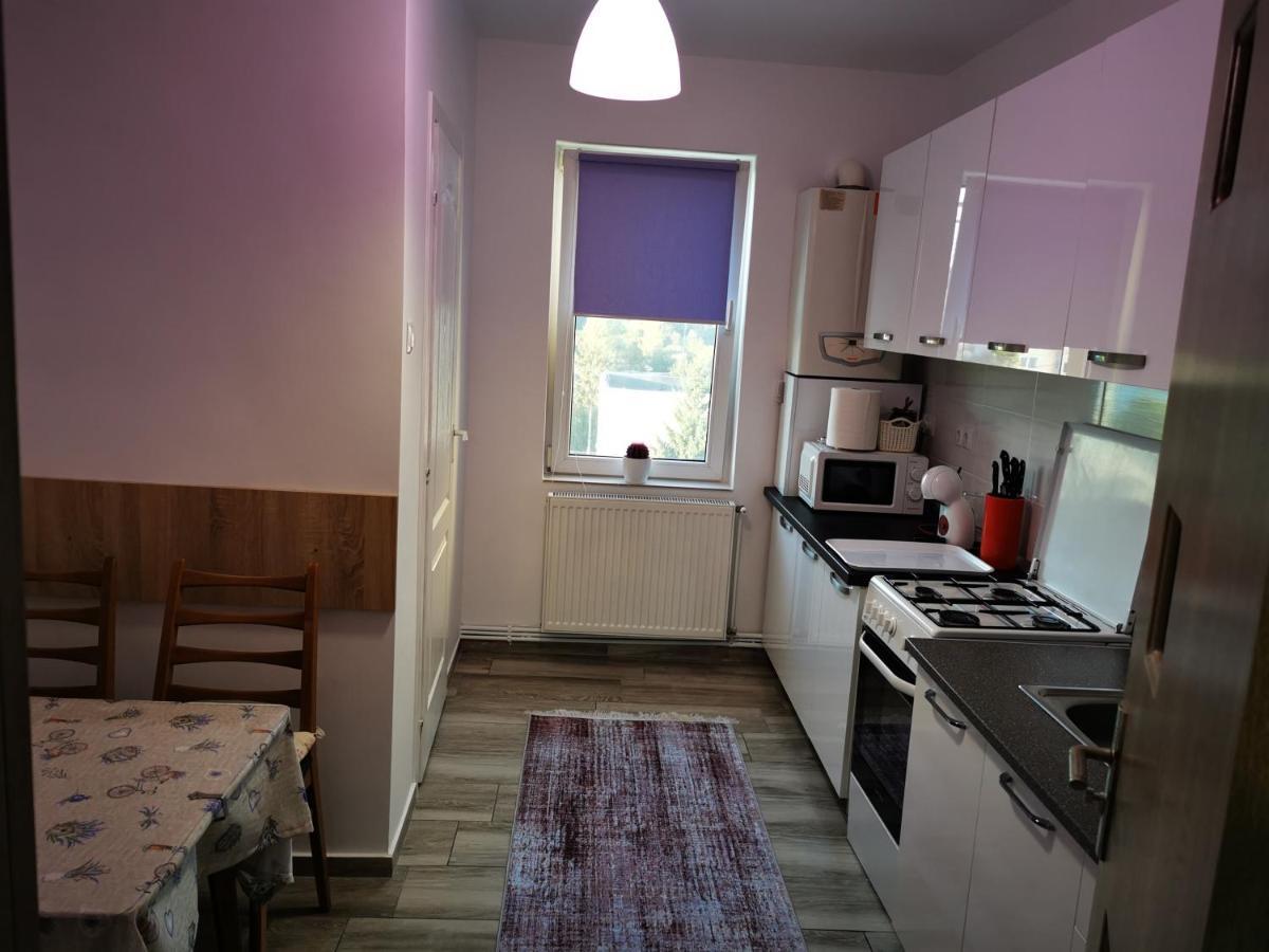 Violet Residence Targu Mures Exterior foto